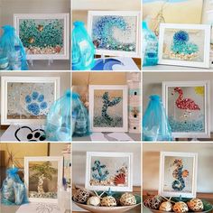 there are many pictures of different sea creatures in the frame, including shells and seashells