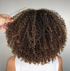 Hair Chestnut Brown, Brown Hair Curly, Auburn Brown Hair, Curly Hair Color Ideas, Curly Hair Color, Natural Hair Highlights, Curly Highlights, Dyed Curly Hair, Natural Curly Hair Cuts