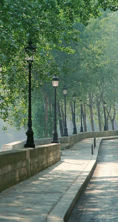 a man walking down the street with an umbrella in his hand and trees lining both sides