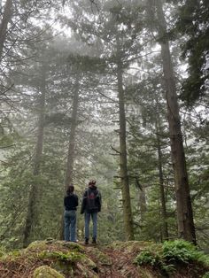 two people standing on top of a hill in the middle of a forest with lots of trees