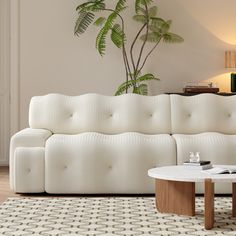 a living room with a couch, table and potted plant on the side wall