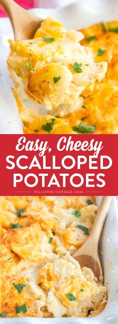 easy cheesy scalloped potatoes in a white casserole dish