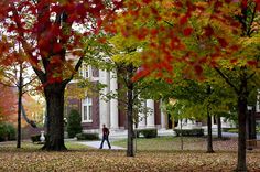 a person walking in front of a building surrounded by trees with leaves on the ground