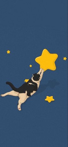 a black and white dog laying on its back with a yellow star in it's mouth