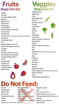 a menu for fruits and vegetables with the words don't feed written on it