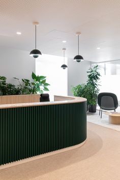 an office with plants and chairs in the background