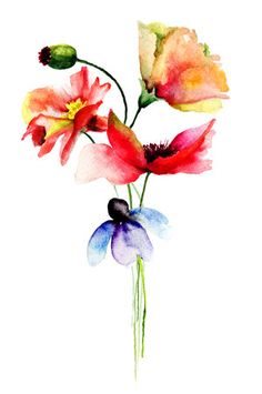 watercolor flowers on white background with clipping space for text or image stock photo