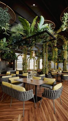 an indoor dining area with yellow chairs and green plants on the ceiling, along with wooden flooring