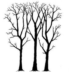 three bare trees with no leaves on them