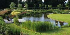 a pond surrounded by lush green grass next to a wooden bench and small lake in the middle