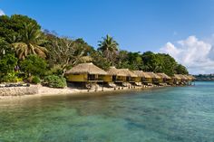 the beach is lined with thatched huts and palm trees, along with clear blue water