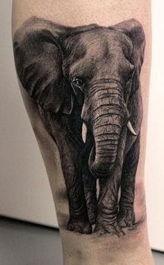 an elephant tattoo on the leg of a person's leg, showing it's tusks