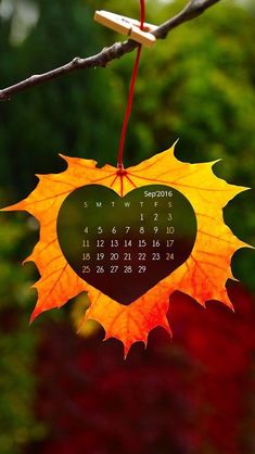 a heart shaped leaf hanging from a tree branch with the calendar on it's side