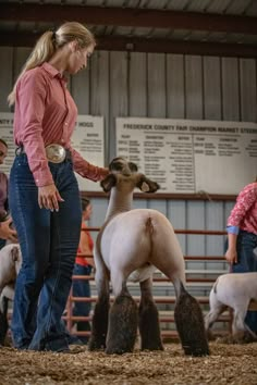 a woman standing next to a sheep in a pen with other people around her looking at it