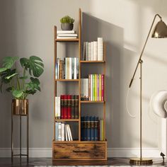 a bookshelf filled with lots of books next to a lamp and potted plant