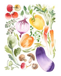 an illustration of vegetables painted in watercolor