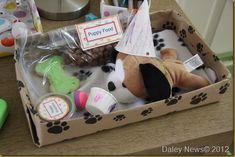 there is a dog in a box with toys