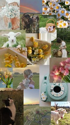 a collage of pictures with flowers and animals