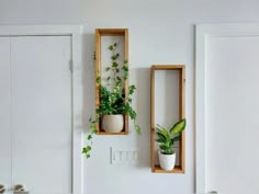 two wooden boxes with plants in them on the wall next to each other, one holding a potted plant