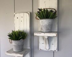 two potted plants sitting on top of wooden shelves