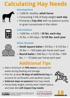 a poster with instructions on how to use calculators for horses and other animals