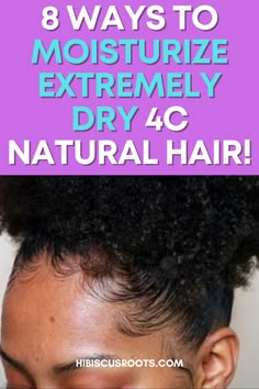 Moisturizing Dry Hair, How To Lock In Moisture In Natural Hair, Products To Moisturize Natural Hair, Moisture For Natural Hair, Leave In Moisturizer For Natural Hair, Hydrate 4c Natural Hair, How To Care For 4c Natural Hair, Good Moisturizer For Natural Black Hair, How To Moisture Dry Natural Hair