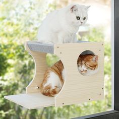 two cats sitting on top of a wooden cat tree with one looking at the camera