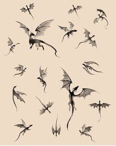 a group of black and white drawings of different types of dragon wings flying through the air