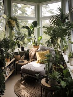 a living room filled with lots of plants next to a large window covered in sunlight