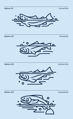 four different types of fish in the ocean, each with their own name and description