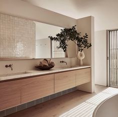 a bathroom with a plant in the middle of it and a large mirror on the wall