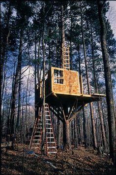 a tree house built in the woods on stilts