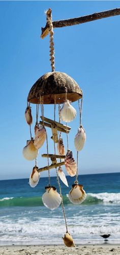 shells hanging from a rope on the beach