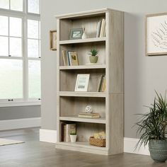 a room with a potted plant on the floor and a book shelf next to it