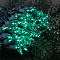 chasing green mini light on green wiring Commercial Christmas Lights, Green Christmas Lights, Christmas Tree Bulbs, Light Up Tree, Pink Crafts, Mini Lights, Led Rope Lights, Craft Lights, Traditional Christmas Tree