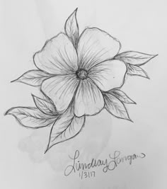 a drawing of a flower with the name linda's song written on its side