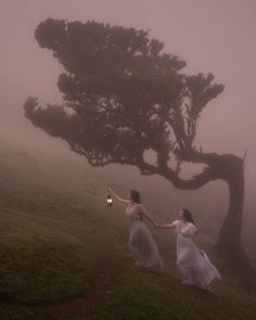 two women in white dresses holding hands under a tree on a foggy day,