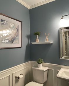 a white toilet sitting next to a bathroom sink under a framed picture on the wall