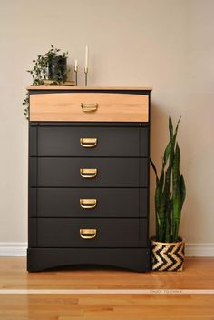 a black dresser with gold handles next to a potted plant