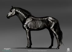 a skeleton horse is standing in front of a gray background