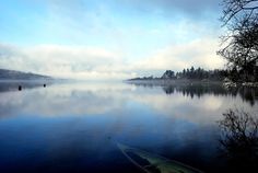 there is a boat that is sitting on the water in front of some foggy trees