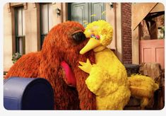 a couple of large birds standing next to each other on top of a mailbox