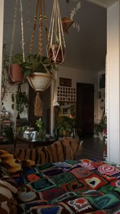 a living room filled with lots of hanging plants