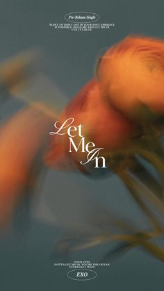 the poster for let me in is blurry, with an orange flower on it