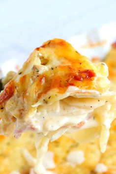 a piece of lasagna casserole being lifted from the casserole dish