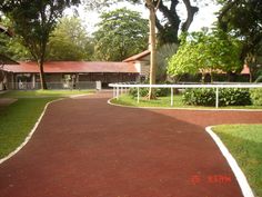 a red brick path leading to a white fenced in area with green grass and trees