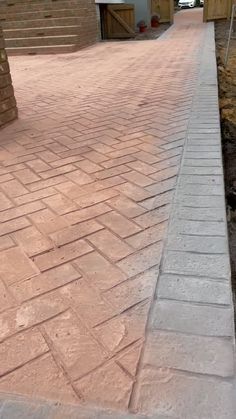 a dog is standing in the middle of a brick walkway with steps leading up to it