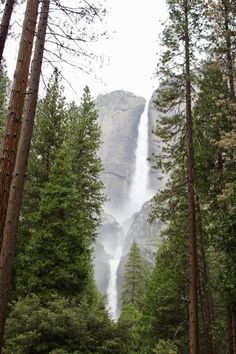 beautiful waterfall in yosemite national park surrounded by trees Aesthetic Nature Pics, Yosemite Aesthetic, Park Ranger Aesthetic, Aesthetic Waterfall, Yosemite Waterfalls, Outdoorsy Aesthetic, National Park Photography, Yosemite Park, California Hikes