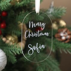 a christmas ornament hanging from a tree