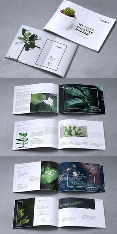 an open brochure with green plants and leaves on the front, inside and out